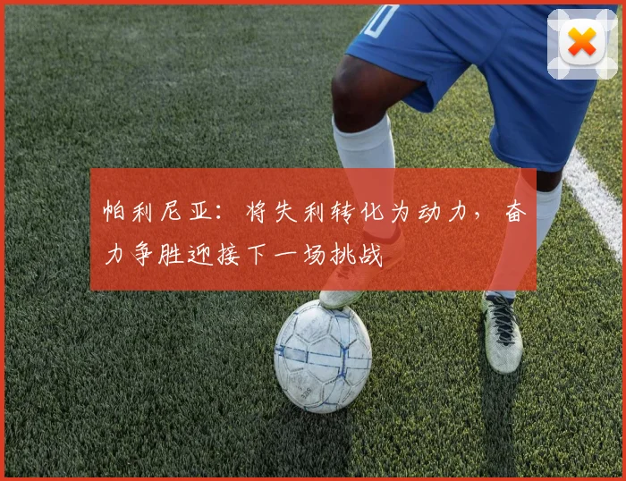 帕利尼亚：将失利转化为动力，奋力争胜迎接下一场挑战
